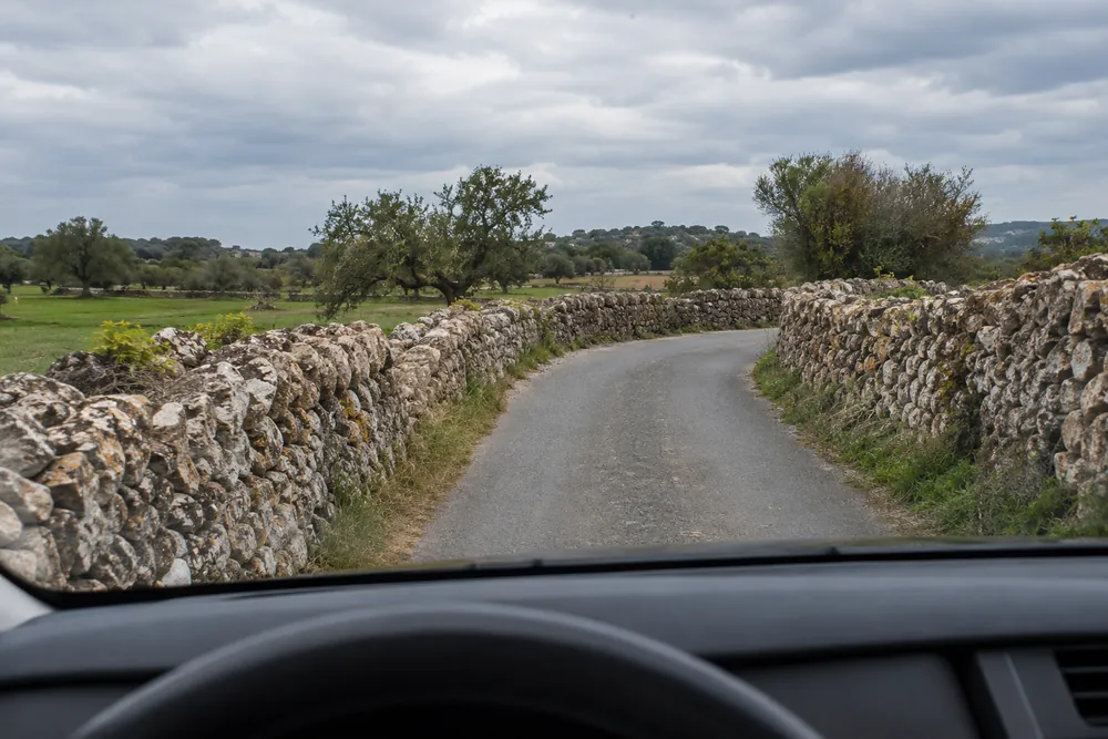 Camino vecinal asfaltado estrecho y sin marcas viales entre campos.