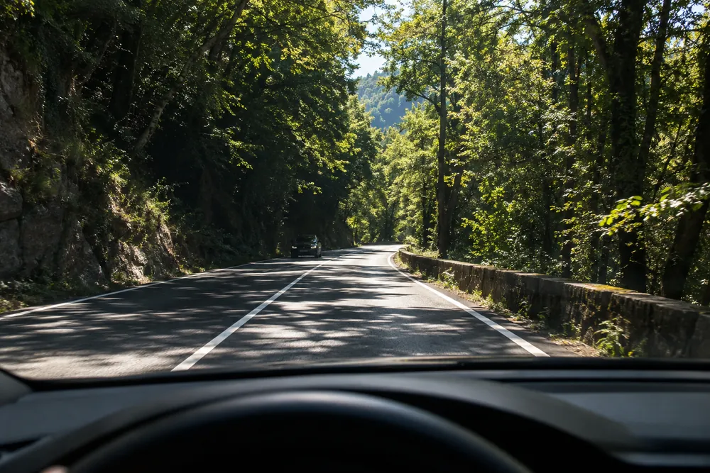 Carretera entre árboles, con zonas de sol y sombra