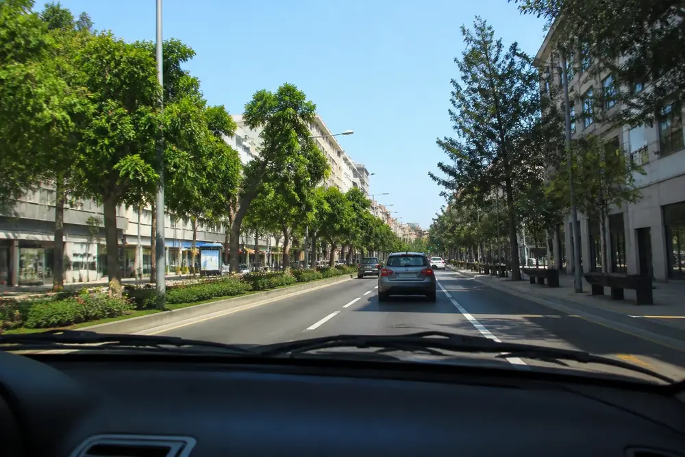 Avenida urbana arbolada vista desde el puesto de conducción
