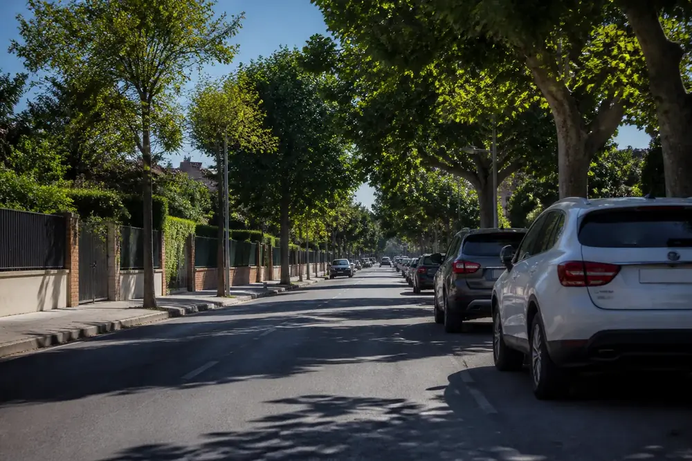 Calle arbolada con coches aparcados vista desde el vehículo