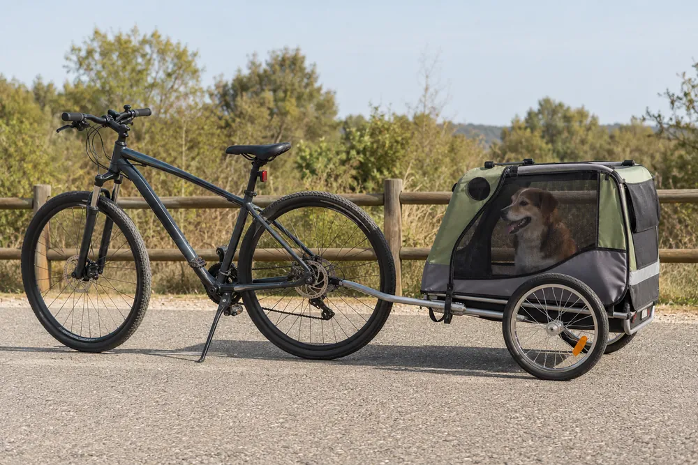Bicicleta con remolque para transportar un perro.