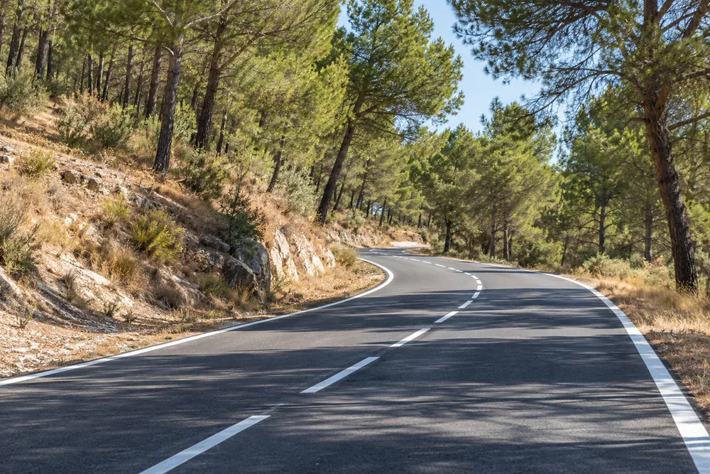 Carretera atravesando un bosque seco en verano.