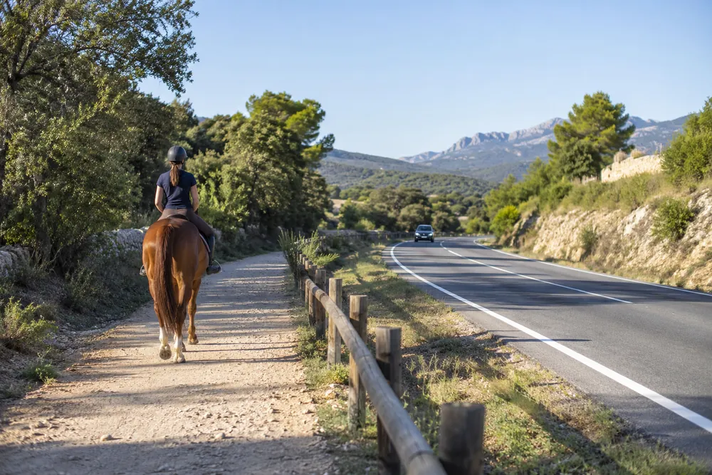 Jinete por un camino rural.