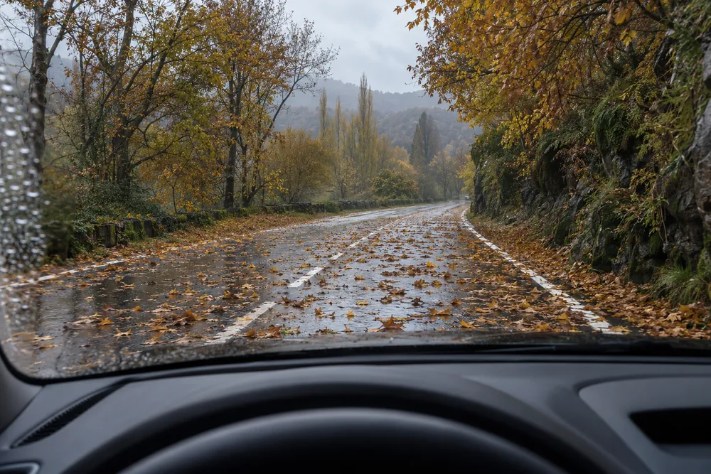 Carretera cubierta de hojas mojadas en otoño.