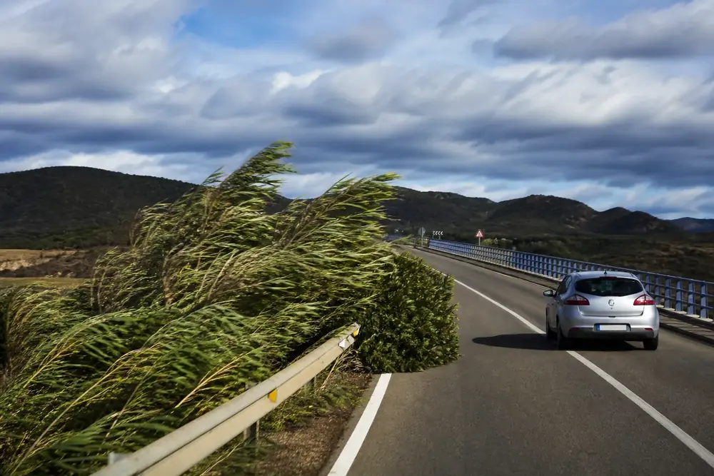 Puente expuesto al viento con vegetación inclinada